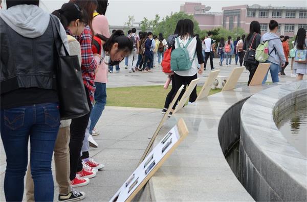 7022zz至尊国际 “随手拍”图片展圆满落幕